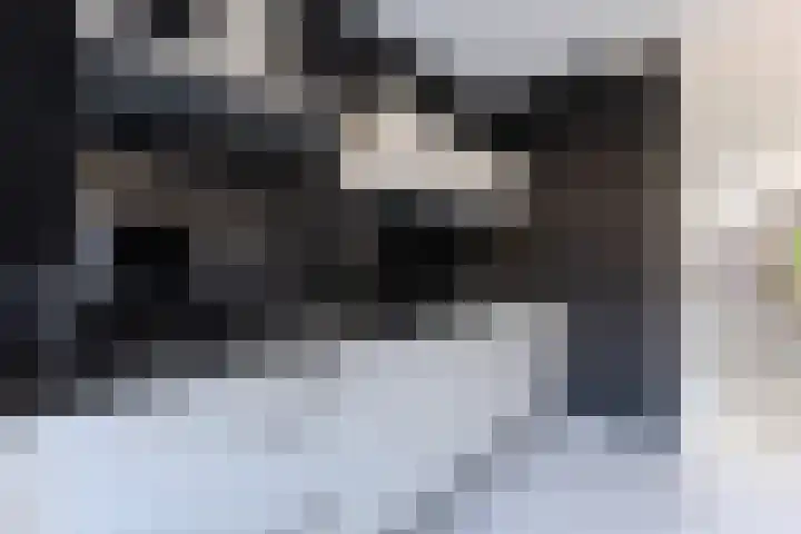 Leonard Bernsteinstraat 36 Zaandijk thumbnail 7