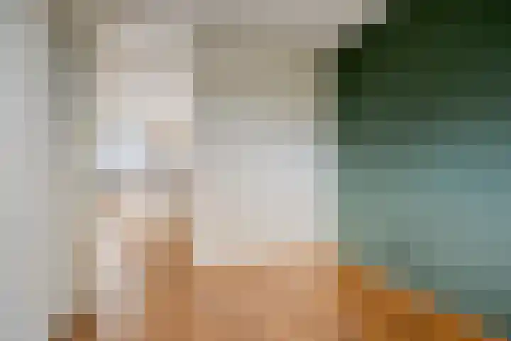 Leonardo da Vinciplein 89 Haarlem thumbnail 20