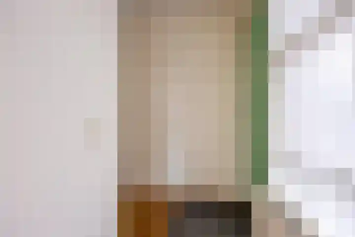 Leonardo da Vinciplein 89 Haarlem thumbnail 27