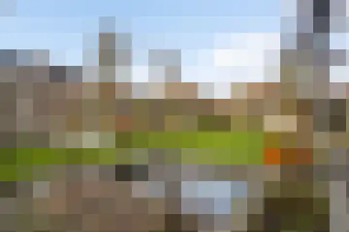 Leonardusstraat 10 Beegden thumbnail 22