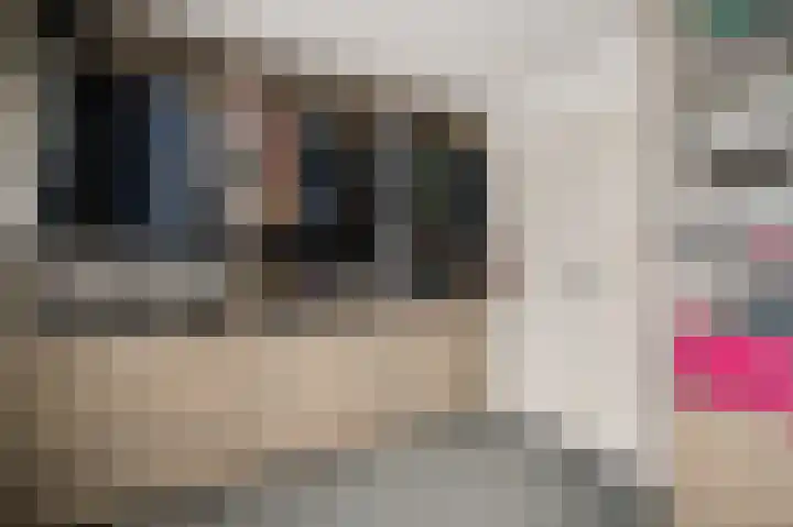 Leonardusstraat 10 Beegden thumbnail 35
