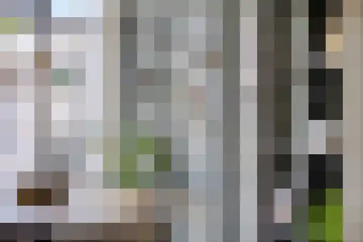 Leoninusstraat 68 Arnhem thumbnail 16