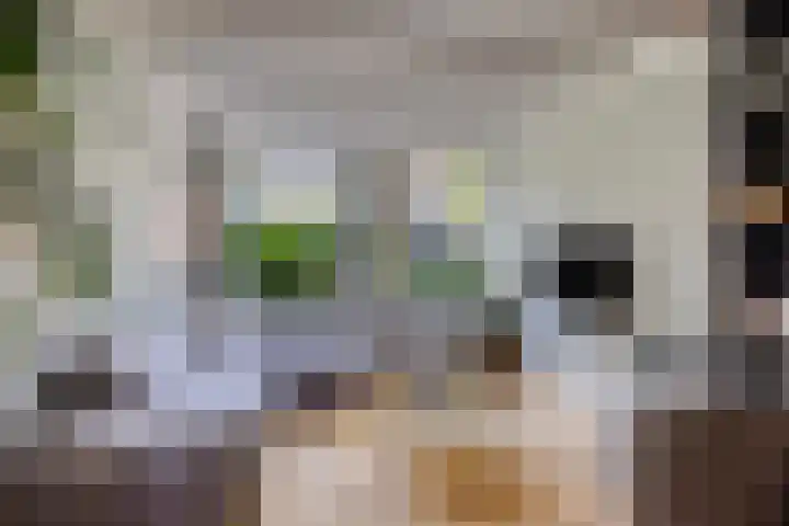 Leoninusstraat 68 Arnhem thumbnail 4