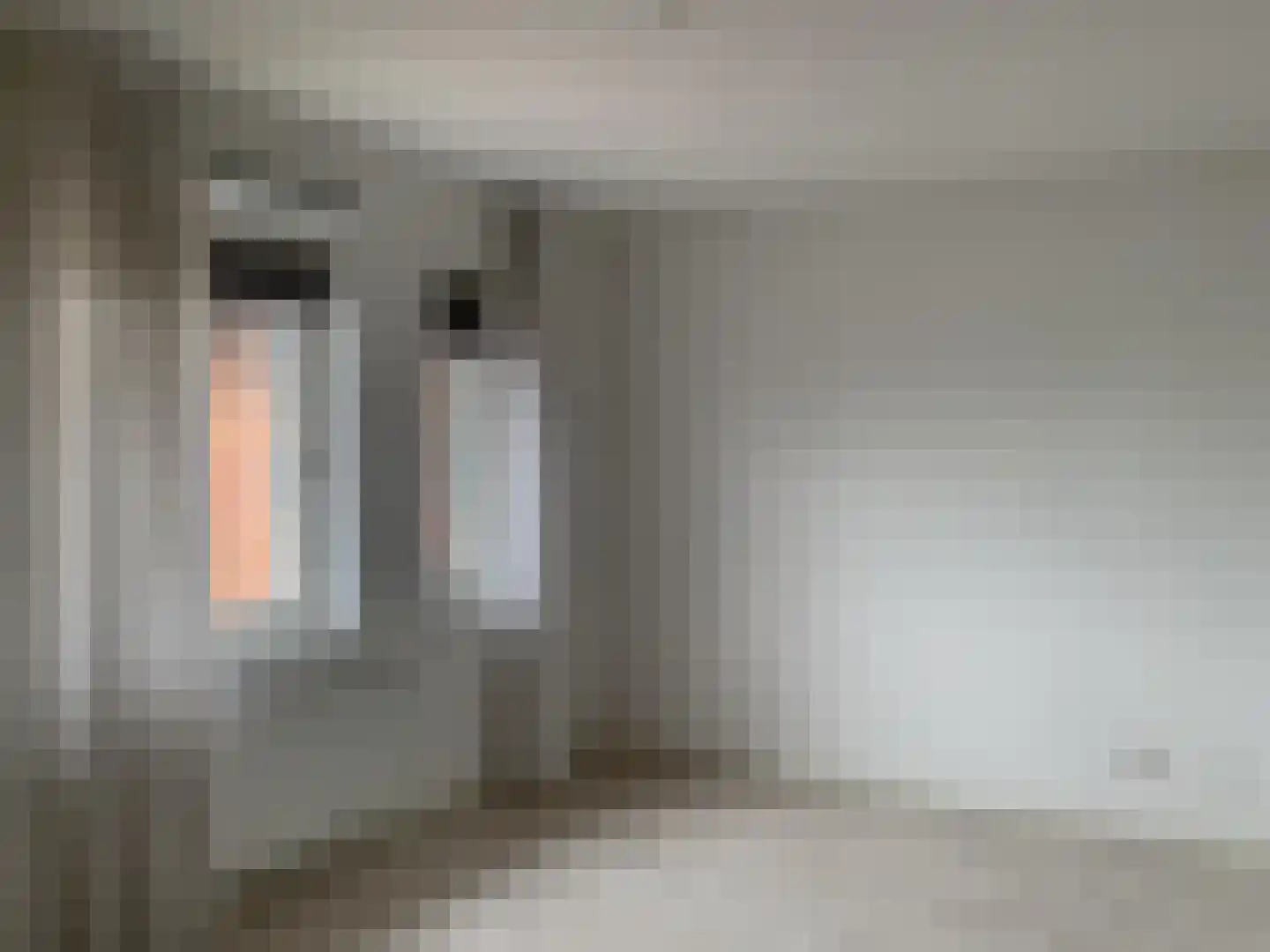 Leostraat 29 Eindhoven thumbnail 7