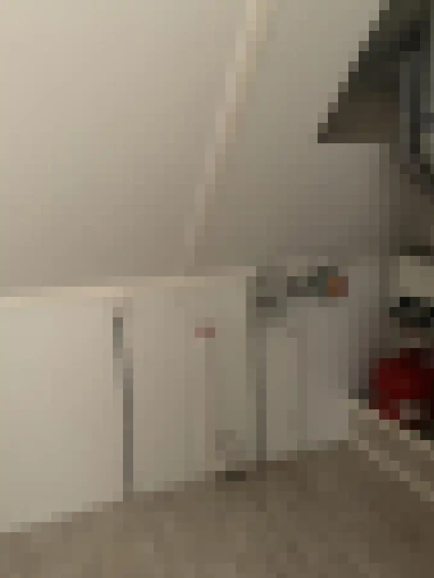 Leostraat 29 Eindhoven thumbnail 9