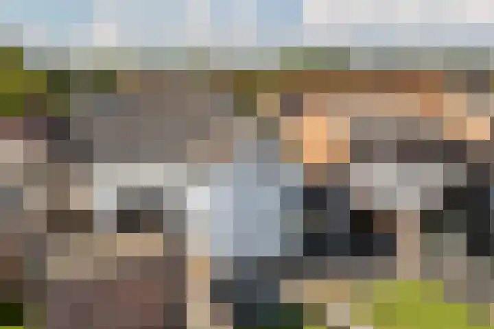 Leostraat 4 Wijchen thumbnail 30