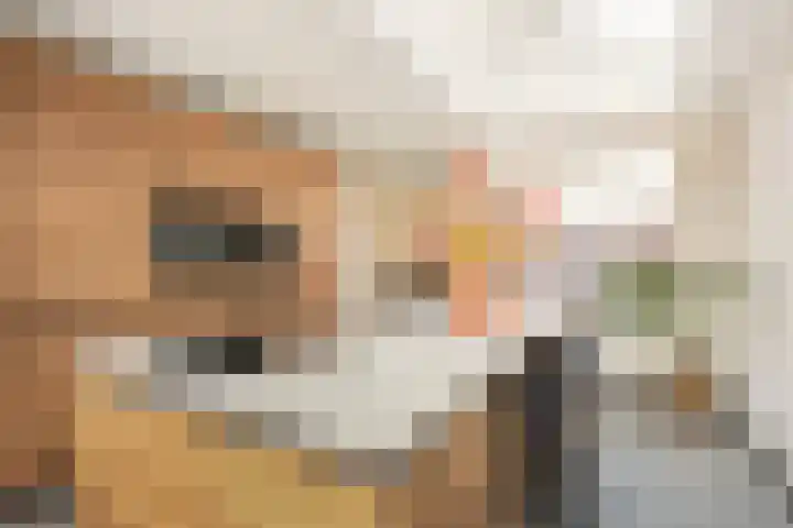 Leostraat 4 Wijchen thumbnail 8