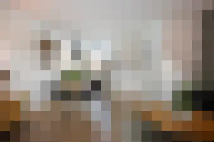 Leostraat 83 Eindhoven thumbnail 13