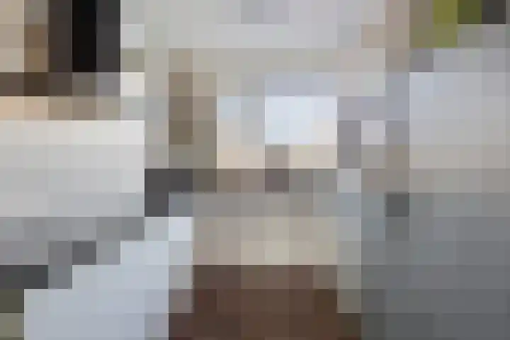Leostraat 83 Eindhoven thumbnail 17