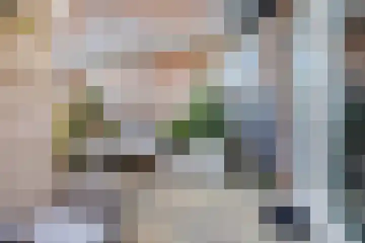 Leostraat 83 Eindhoven thumbnail 38