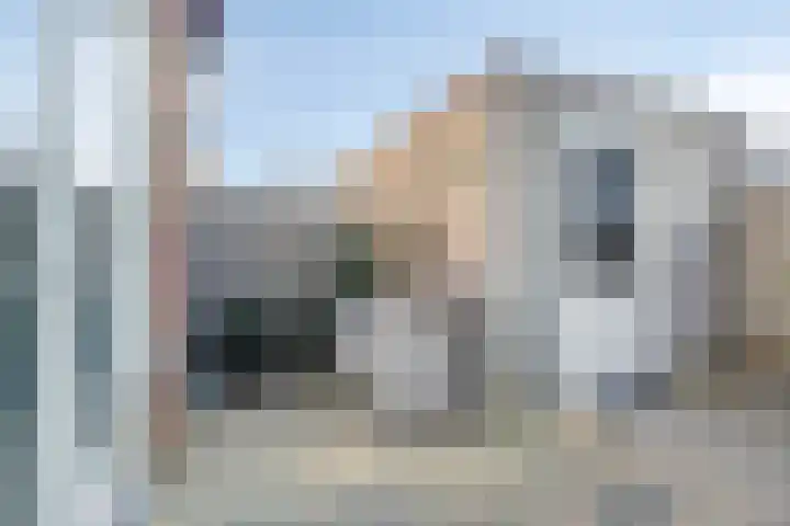 Leostraat 83 Eindhoven thumbnail 39