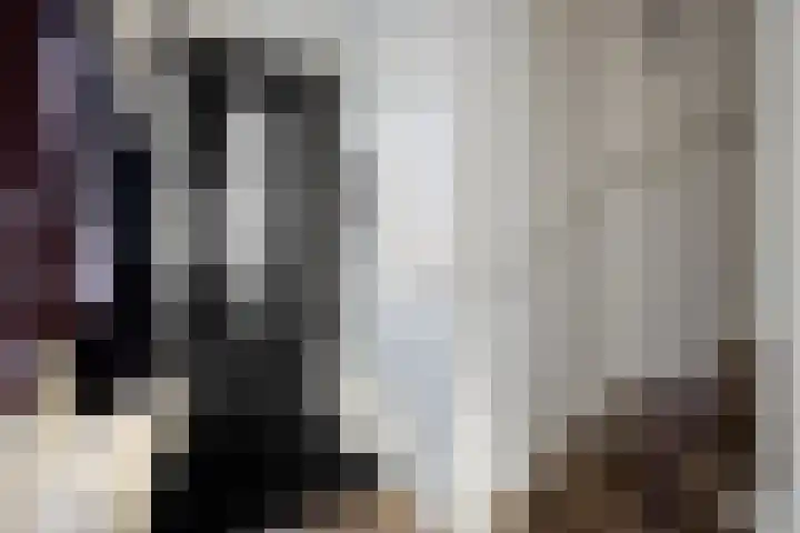 Leostraat 83 Eindhoven thumbnail 6