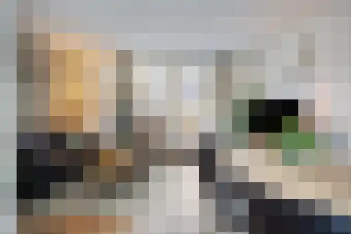 Leostraat 83 Eindhoven thumbnail 9