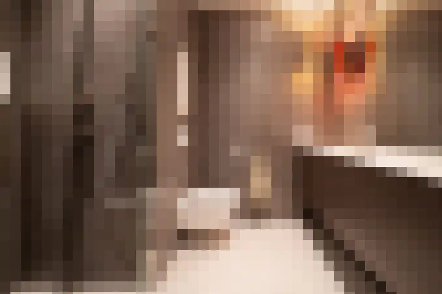 Lepelaar 102 Groningen thumbnail 22