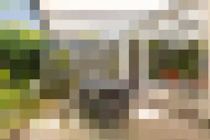Lepelaar 15 Leusden thumbnail 10