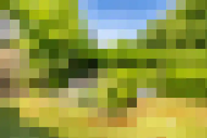 Lepelaar 15 Leusden thumbnail 12