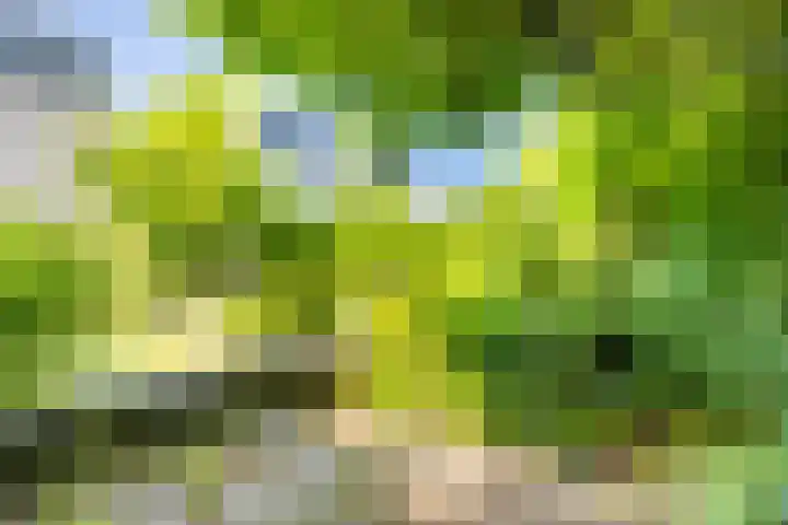 Lepelaar 15 Leusden thumbnail 14