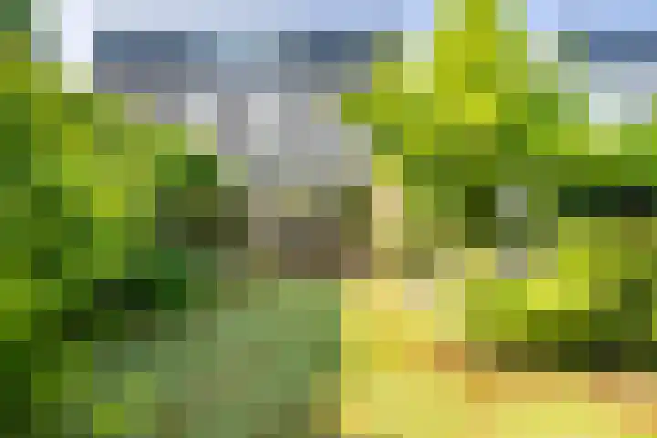 Lepelaar 15 Leusden thumbnail 15