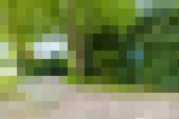 Lepelaar 15 Leusden thumbnail 38
