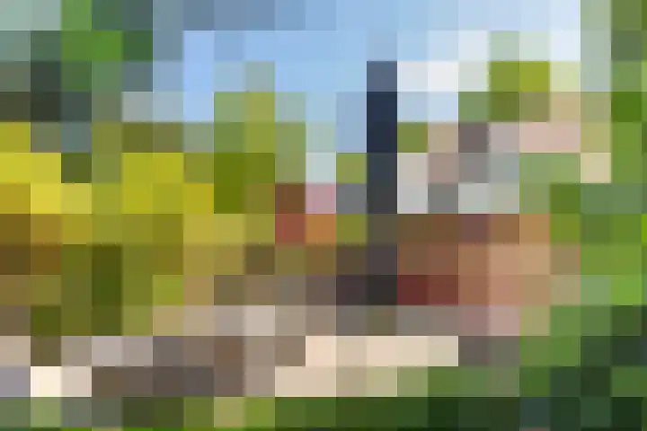 Lepelaar 15 Leusden thumbnail 39