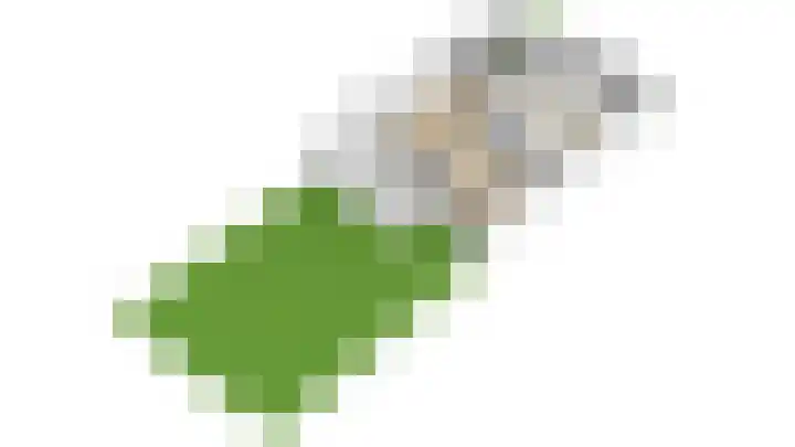 Lepelaar 15 Leusden thumbnail 42