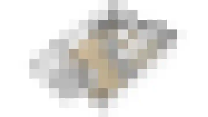 Lepelaar 15 Leusden thumbnail 45