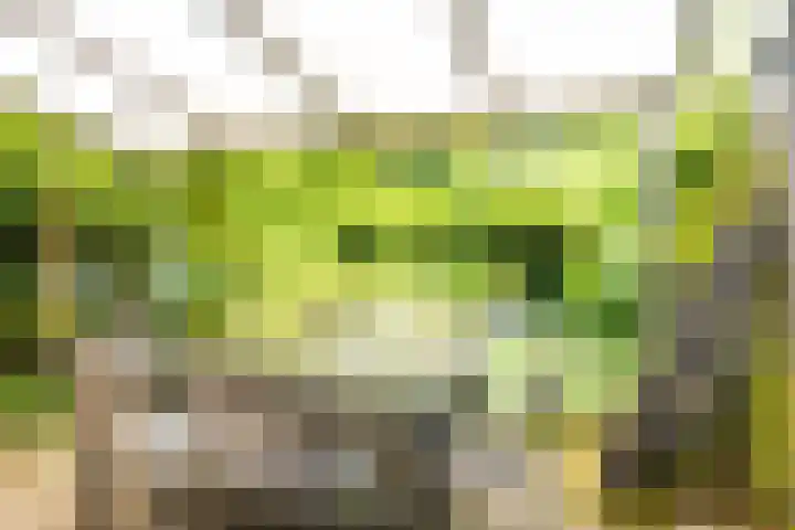 Lepelaar 15 Leusden thumbnail 9