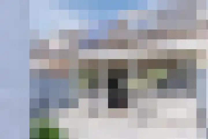 Lepelaar 30 Geldrop thumbnail 35