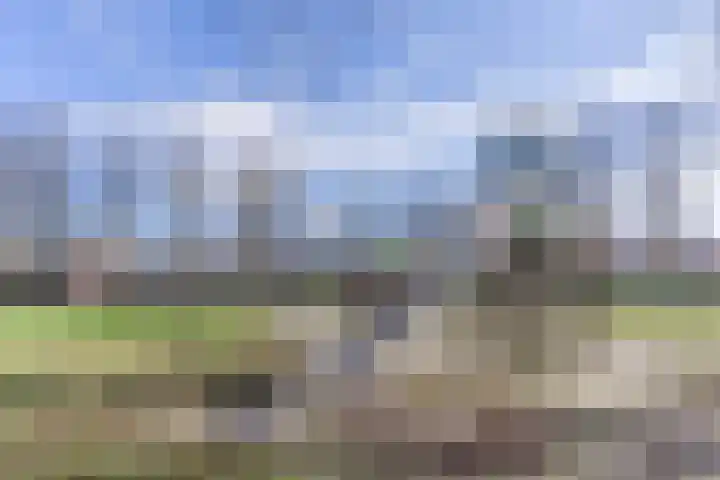 Lepelaar 30 Geldrop thumbnail 49