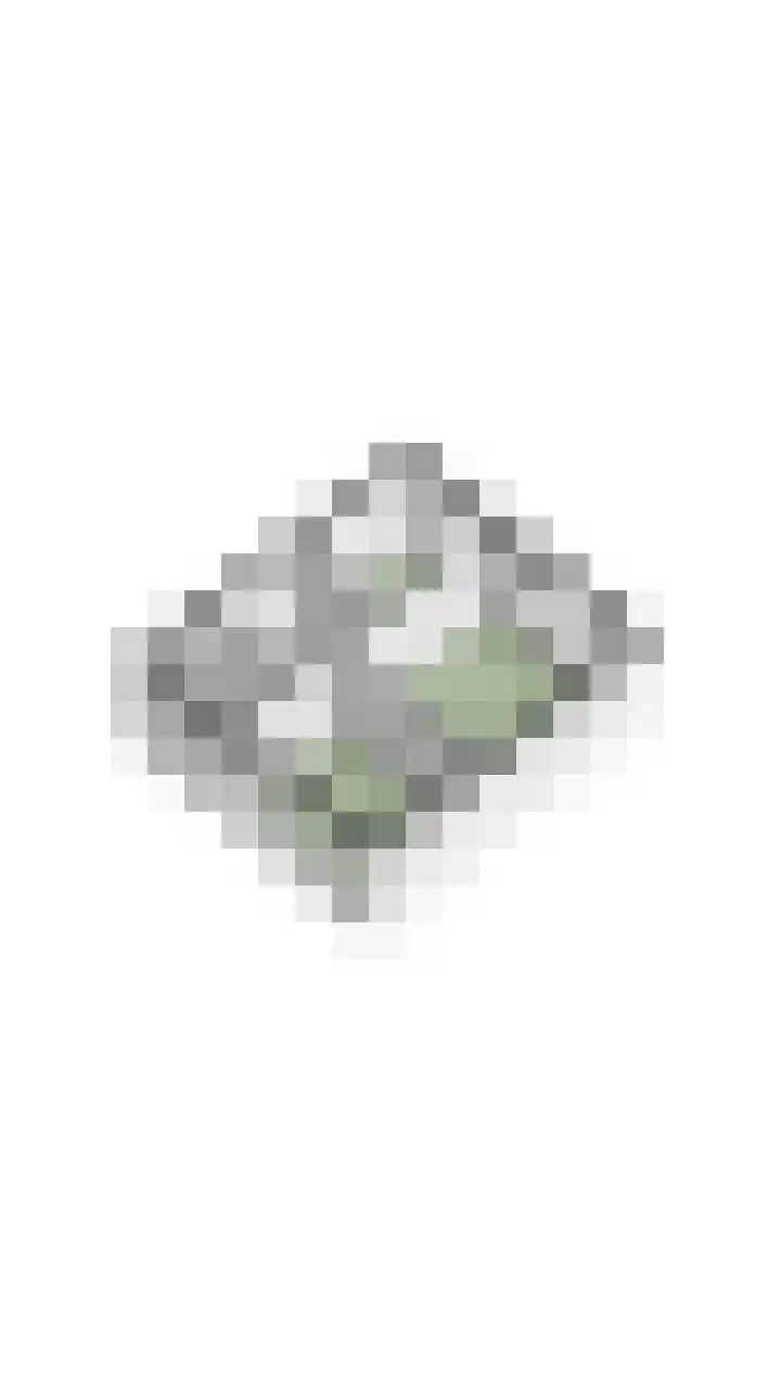Lepelaar 30 Geldrop thumbnail 56