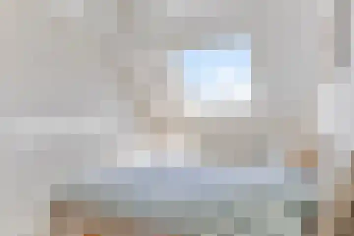 Lepelaar 91 Meppel thumbnail 11
