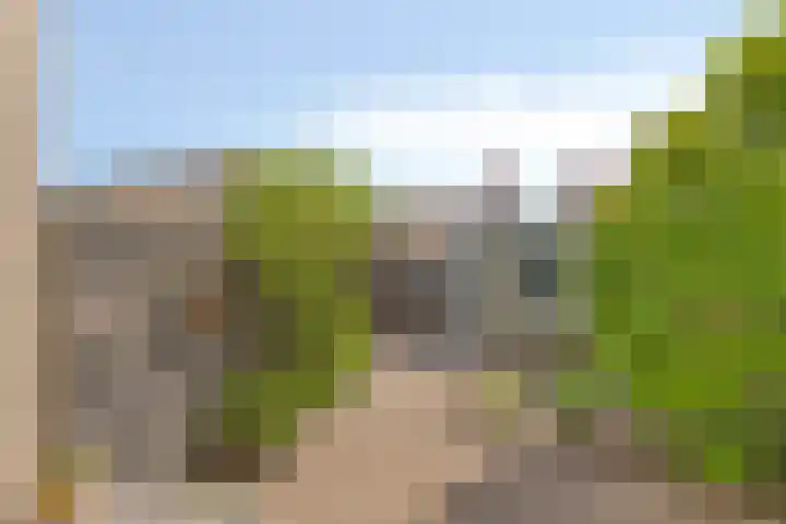 Lepelaar 91 Meppel thumbnail 22