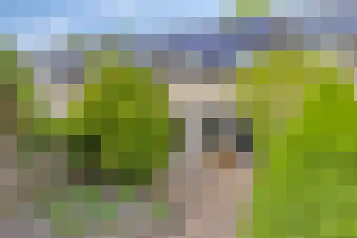 Lepelaar 91 Meppel thumbnail 24