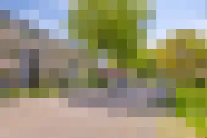 Lepelaar 91 Meppel thumbnail 25
