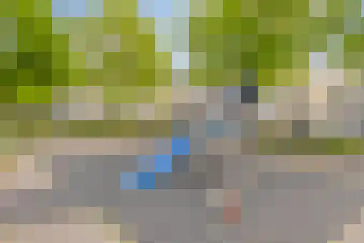 Lepelaar 91 Meppel thumbnail 28