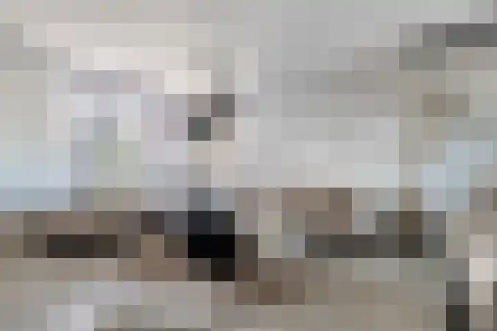 Lepelblad 31 Ilpendam thumbnail 11