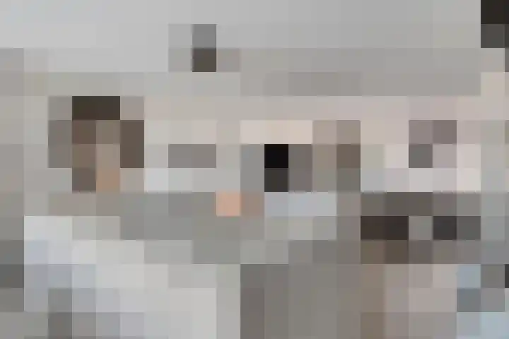 Lepelblad 31 Ilpendam thumbnail 15