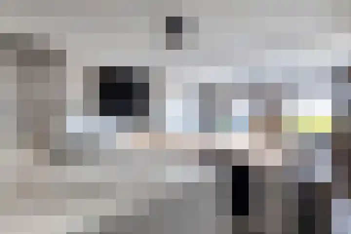 Lepelblad 31 Ilpendam thumbnail 16