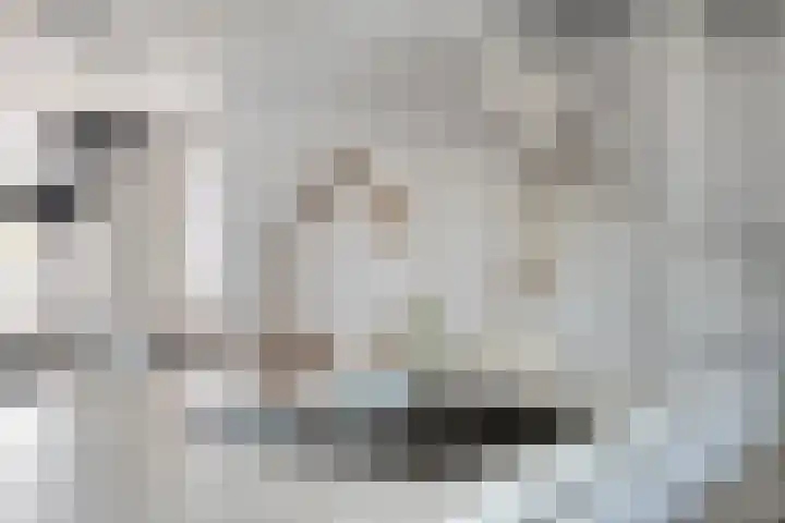 Lepelblad 31 Ilpendam thumbnail 17
