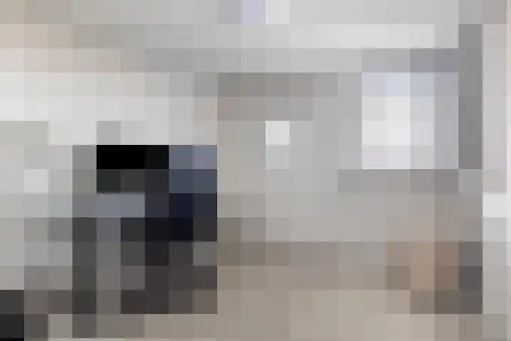 Lepelblad 31 Ilpendam thumbnail 22