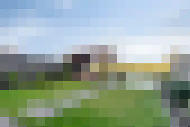 Lepelblad 31 Ilpendam thumbnail 5