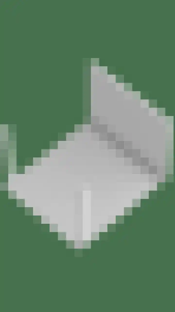 Lepelblad 31 Ilpendam thumbnail 53