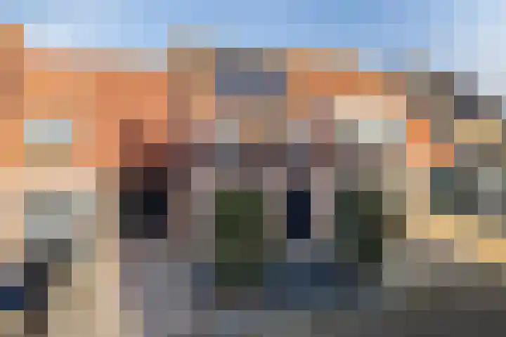 Lepelblad 31 Ilpendam thumbnail 6
