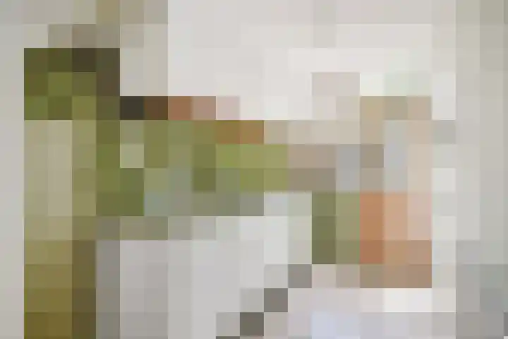 Lepelbladstraat 23 Wormer thumbnail 13