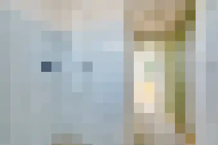 Lepelbladstraat 23 Wormer thumbnail 23