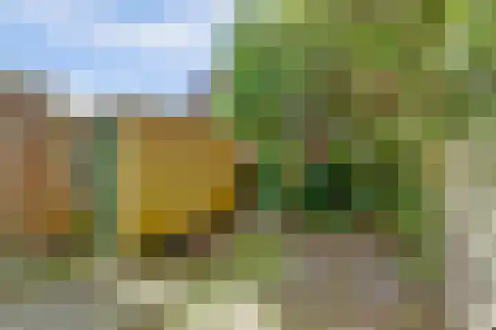 Lepelbladstraat 23 Wormer thumbnail 32