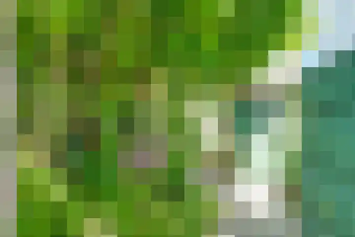 Lepelbladstraat 23 Wormer thumbnail 34
