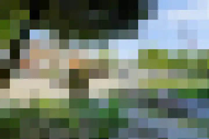 Lepelbladstraat 23 Wormer thumbnail 36