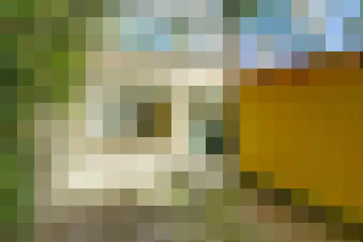 Lepelbladstraat 23 Wormer thumbnail 4