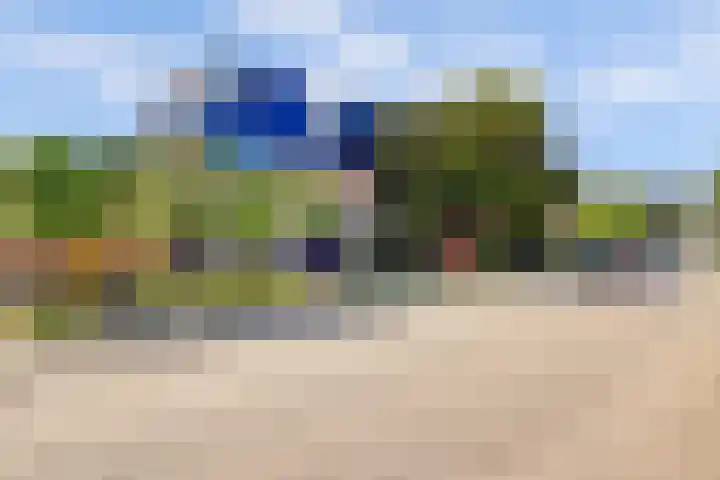 Lepelbladstraat 23 Wormer thumbnail 5